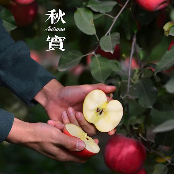 有机农场｜悠野农场